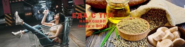 шишки Тайга