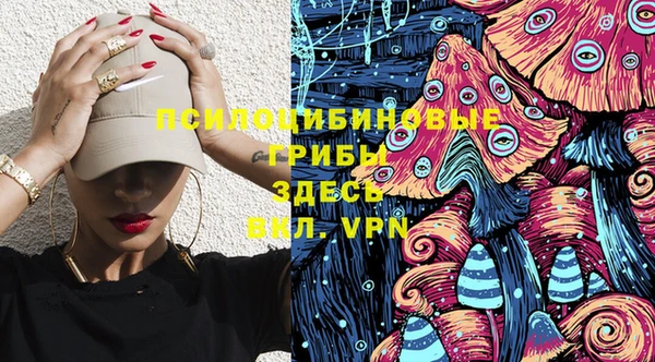 дурь Арсеньев